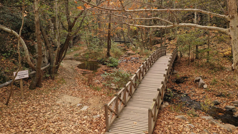 Sadağı’da sonbahar güzelliği! Muhteşem görüntüler Bursa'nın Orhaneli ve Büyükorhan ilçeleri sınırlarında bulunan Sadağı Kanyonu Tabiat