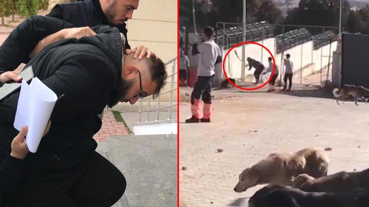 Köpeği kürekle vura vura öldüren caninin ilk ifadesi! Savunması da olay kadar korkunç