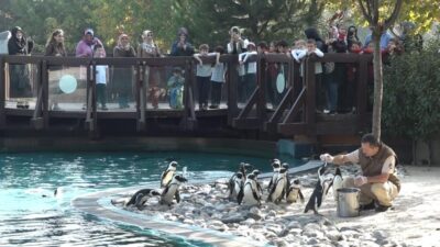 Bursa Hayvanat Bahçesi’nden renkli görüntüler