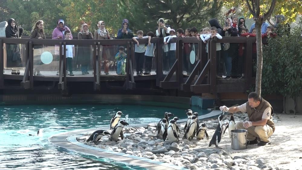 Bursa Hayvanat Bahçesi’nden renkli görüntüler