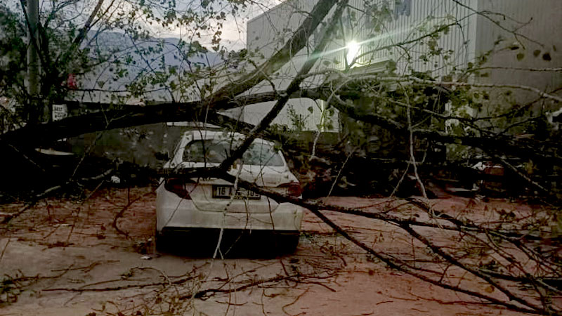 Bursa’da lodos hayatı felç etti