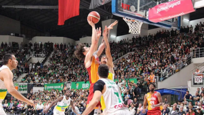 Timsah potada yine kayıp!