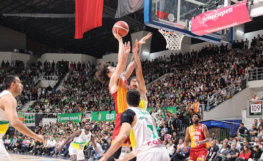 Timsah potada yine kayıp!