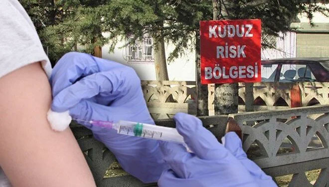 Sağlık Bakanlığı 1.5 milyon doz kuduz aşısı alacak