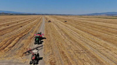 İcradan satılık tarım arazisi