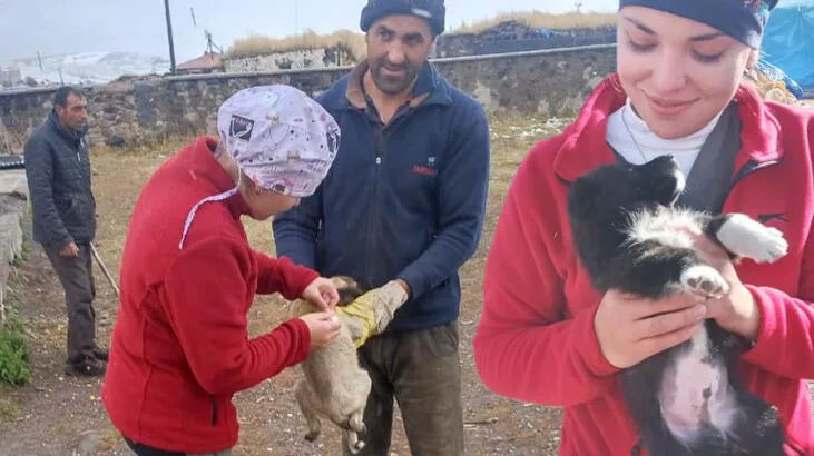 Kars’ta 21 köyde bin 500 kuduz aşısı yapıldı