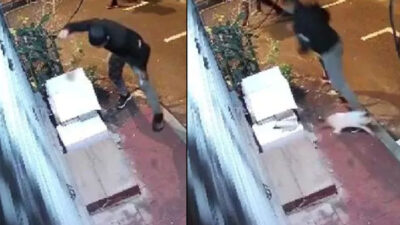 Konya’dan sonra bu kez İstanbul! Hayvana şiddet bitmiyor… Kedi yuvasını yumrukla parçaladı