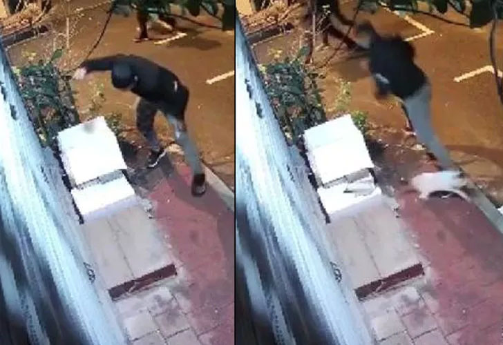Konya’dan sonra bu kez İstanbul! Hayvana şiddet bitmiyor… Kedi yuvasını yumrukla parçaladı Konya’dan sonra bu kez İstanbul! Hayvana şiddet bitmiyor… Kedi yuvasını yumrukla parçaladı