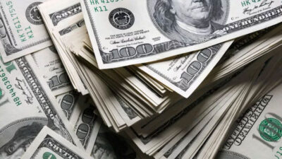 Merkez Bankası döviz rezervleri yılın zirvesinde