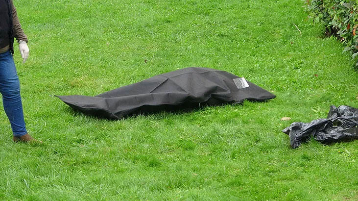 Yaşlı adam parkta ölü bulundu