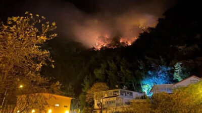 Bartın’da orman yangını: 4 kişi gözaltına alındı