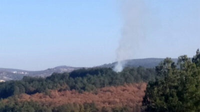 Bursa’da orman yangını! Kontrol altına alındı