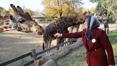 Bursa Hayvanat Bahçesi 24 yaşında