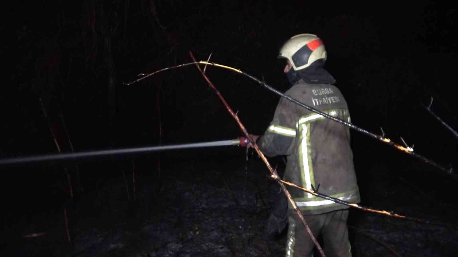 Bursa’da ormanlık alanda yangın
