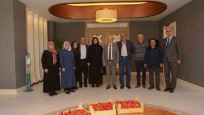 Çilek üreticisi kadınlara Başkan Erdem’den tam destek