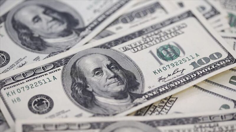Dolar/TL, güne yükselişle başlamasının ardından 42,4660 seviyesinden işlem görüyor.