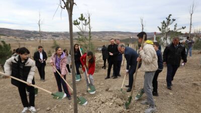 İnegöl’ün bu mahallesinde fidanlar toprakla buluştu