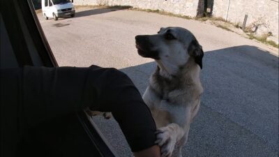 Bursa’da insanın içini ısıtan görüntüler