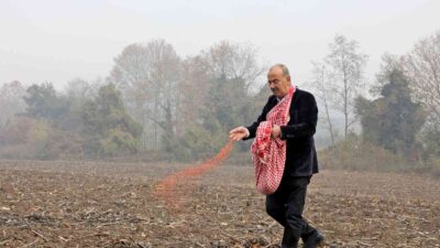 Mudanya Belediyesi buğday tohumlarını toprakla buluşturdu