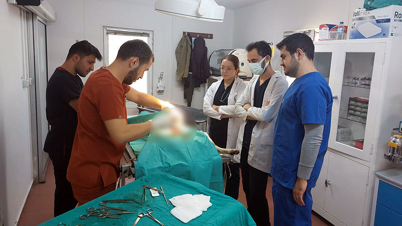 Osmangazi’de veteriner hekim adaylarına uygulamalı eğitim