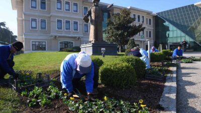 Osmangazi kış çiçekleri ile renklenecek
