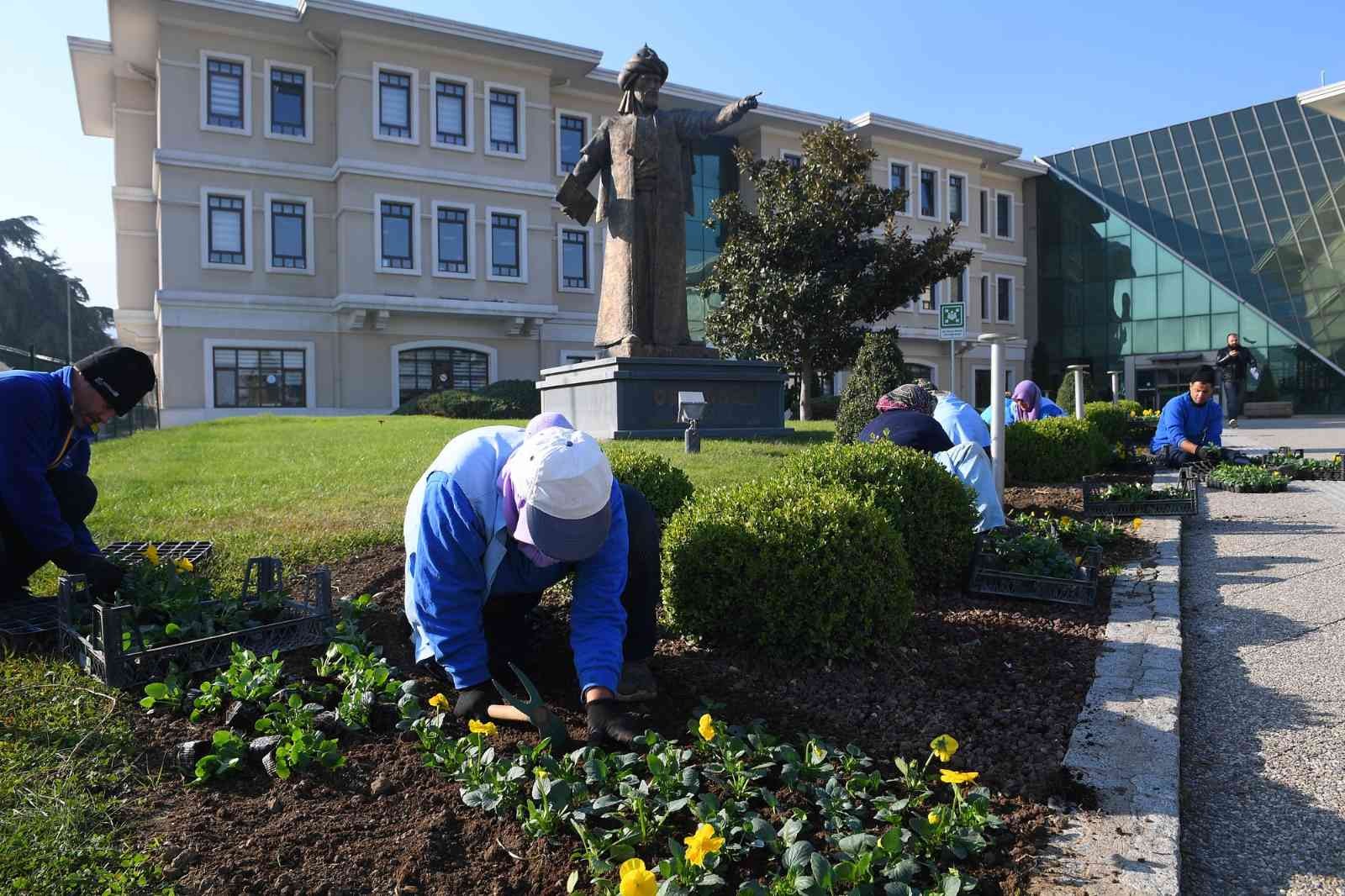 Osmangazi kış çiçekleri ile renklenecek
