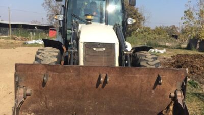 Bursa’da Sokak köpekleri ikinci kez saldırdıkları çiftlikte 5 koyunu telef etti