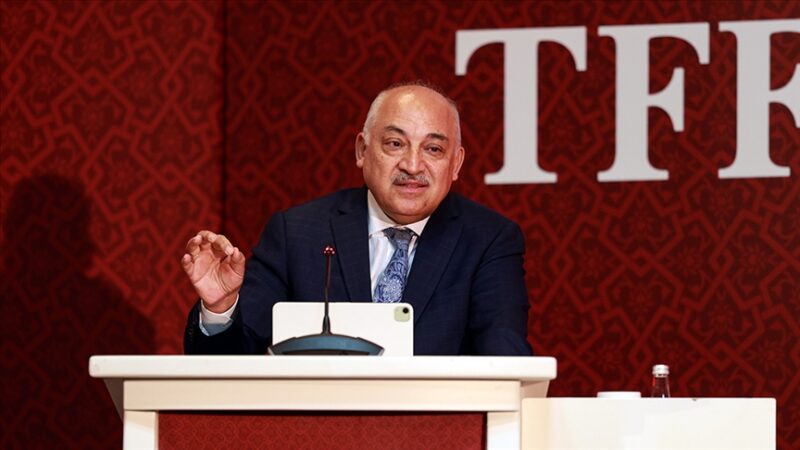 Türkiye Futbol Federasyonu (TFF) Başkanı Mehmet Büyükekşi, "Federasyon olarak biz