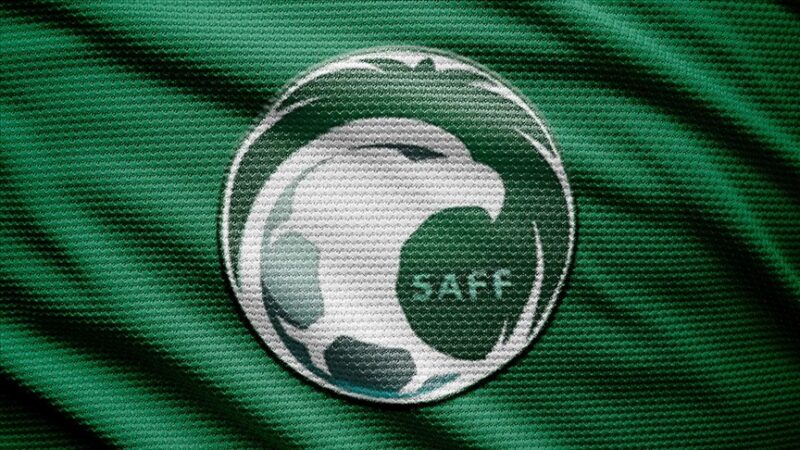 Katar'ın ev sahipliği yapacağı 22. FIFA Dünya Kupası'nda mücadele edecek