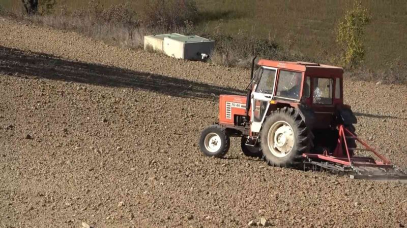 Türkiye’nin en ucuz ekmeği artık bu tarladan çıkacak Bursa’da 3 yıldır 400 gram ekmeği 1 liradan satan Kestel