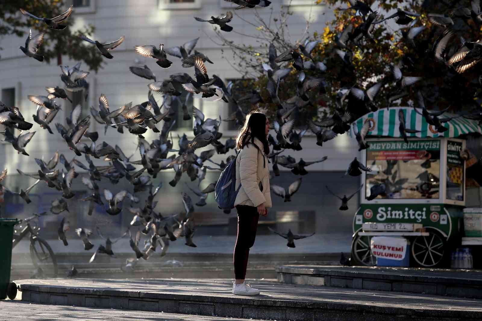 Bursa’da zeytin toplayan köylü kadınlar tarlada böyle saygı duruşuna durdu