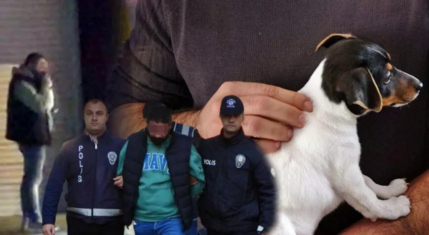 Yavru köpeği ısırarak eziyet etti! “Bunu yapan insan olamaz”
