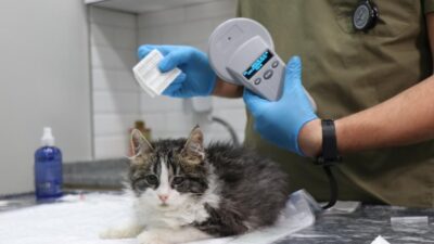 6 gün sonra süre doluyor! Tedarik sorunu başladı