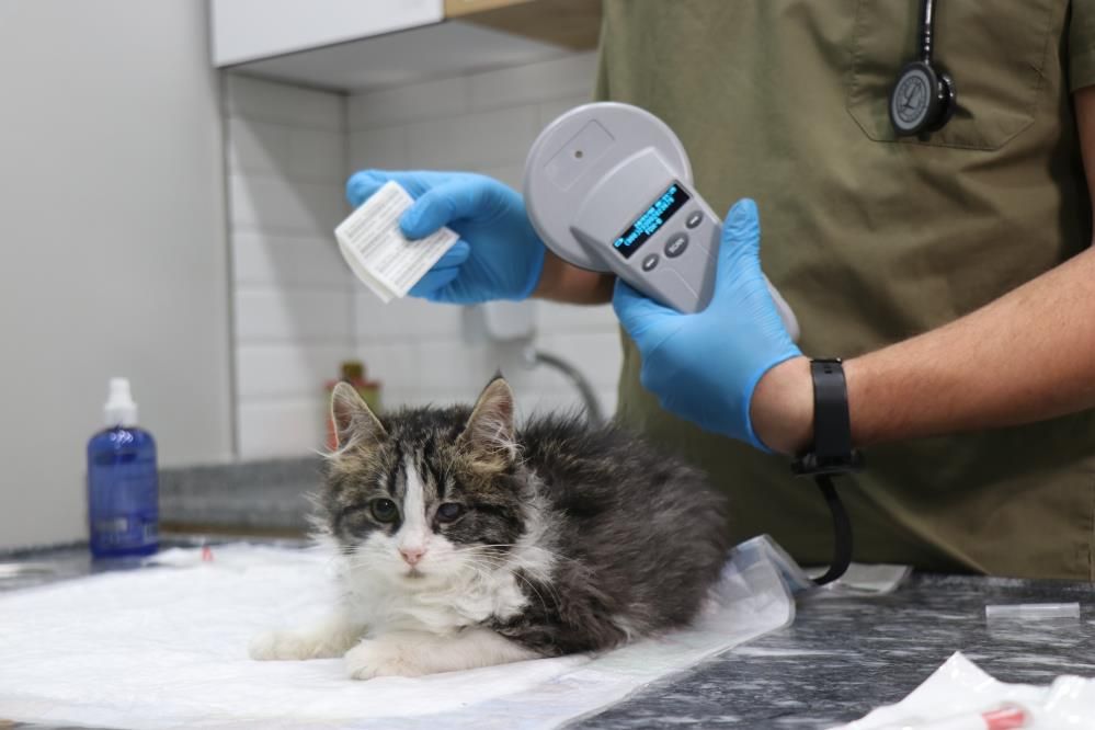 6 gün sonra süre doluyor! Tedarik sorunu başladı