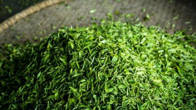 Yaşlanmayı durduruyor!