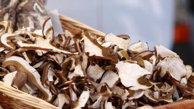 Prof. Dr. İbrahim Saraçoğlu açıkladı… Kışın zirve yapacak!