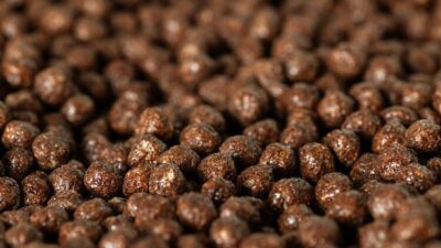 Evinizde varsa hemen çöpe atın!