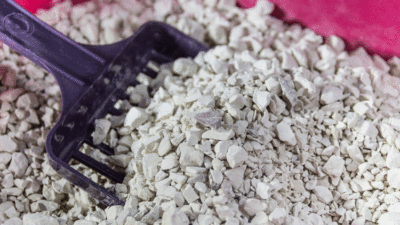 Mucize gibi salgınların düşmanı…