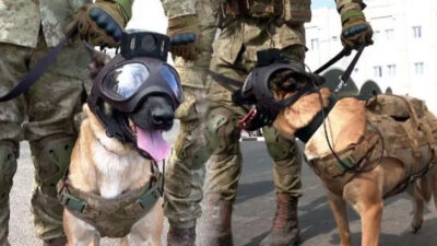 Dünya Kupası’nda TSK’nın bomba arama köpekleri de görev yapıyor