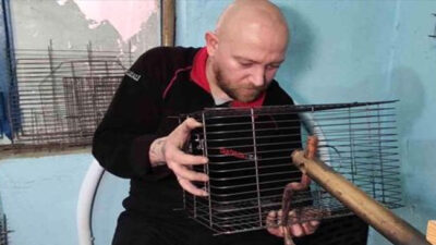 Bursa’da abi kardeş Türkiye’nin kafes ihtiyacını karşılıyor