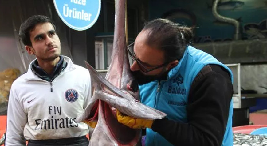 Görenler hayrete düştü, fotoğraf için sıraya girdiler! Elazığ’da ‘kılıç balığı’ heyecanı