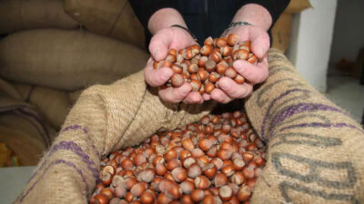 Fındık fiyatı yılın son ayına serbest piyasada rekor fiyatla girdi