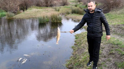 Yuvalı Deresi’ndeki balık ölümlerine ilişkin 8 fabrikada inceleme