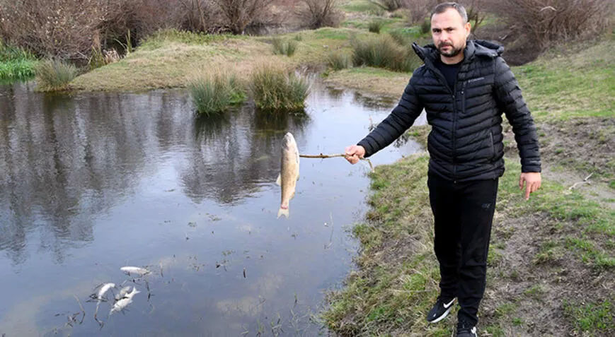 Yuvalı Deresi’ndeki balık ölümlerine ilişkin 8 fabrikada inceleme