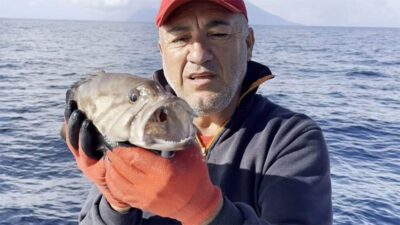 50 yıl sonra ilk! Kuzey Ege’de yakalandı