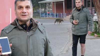 10 köpeğin saldırısına uğradı! ‘Hem psikolojim bozuk hem de yaralıyım’