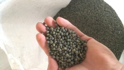 Bu besini tüketenler zımba gibi uyanıyor…