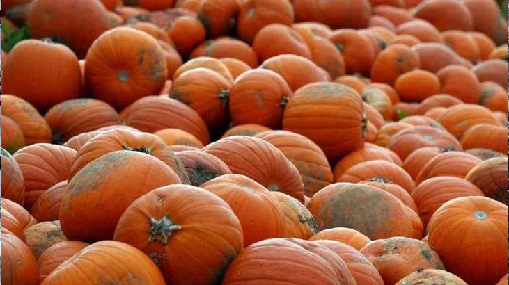 Kanser hücrelerine karşı savaşıyor! Faydalarını duyan şaşırdı