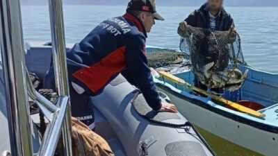 Bursa’da jandarmadan kaçak av operasyonu