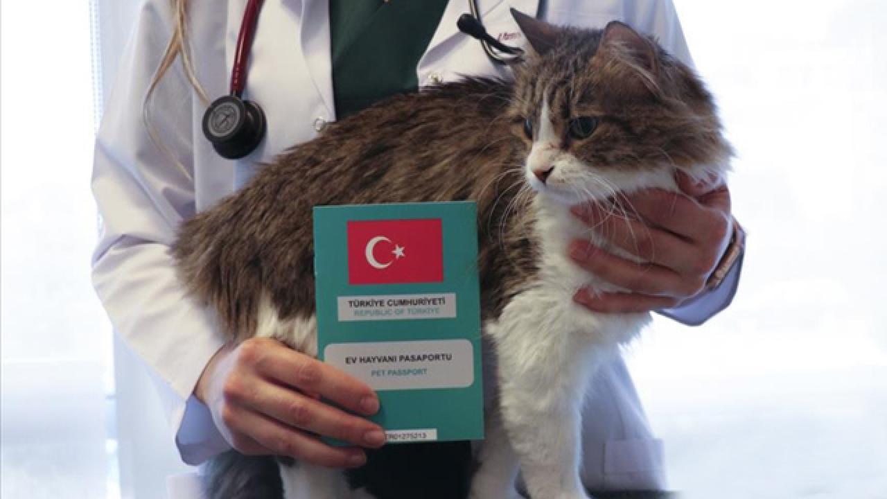 Mikroçip süresi uzatılacak mı? Bakan’dan açıklama